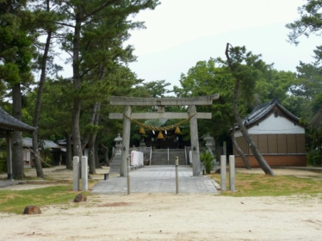 画像5